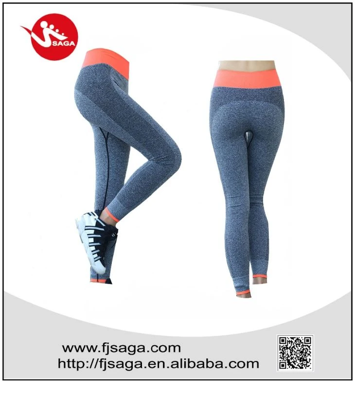 Seamless Leggings Seamless Leggings