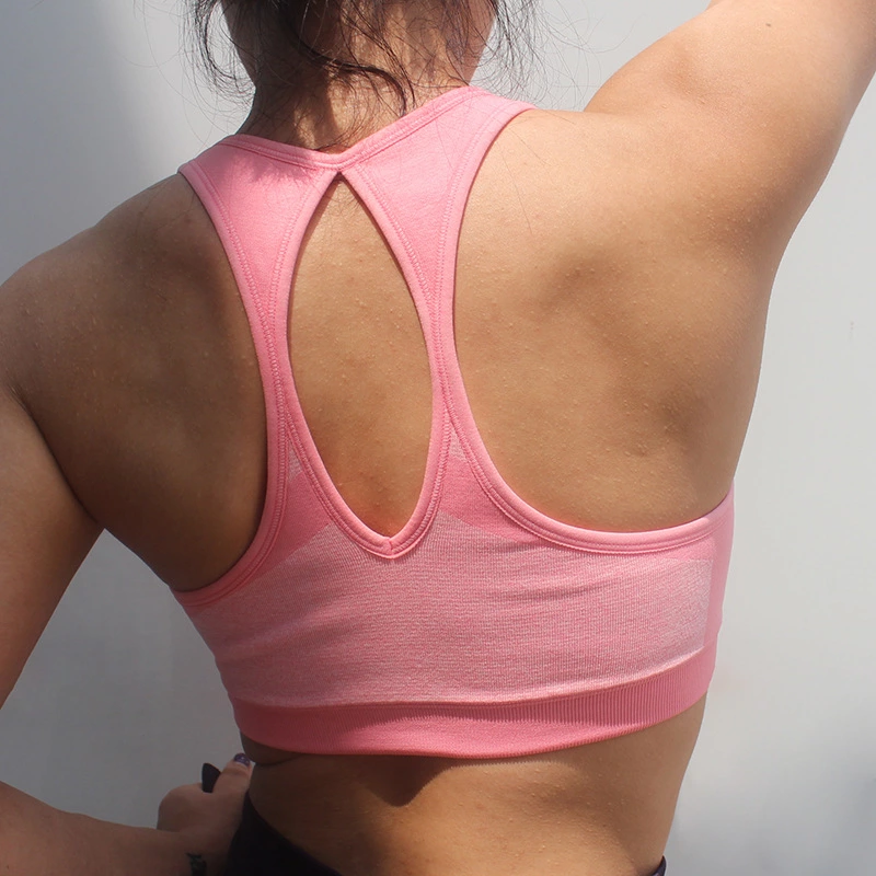 2018 LOW MOQ wholesale activewear women dry fit top gym sport bra fitness wear
