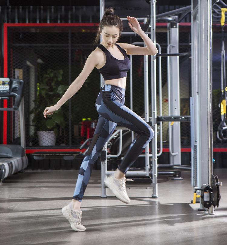 fitness leggings fitness leggings
