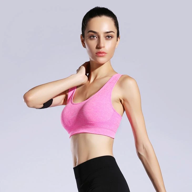 Sports Bra Gym Wear Fitness Top Stretch Seamless Yoga Bra