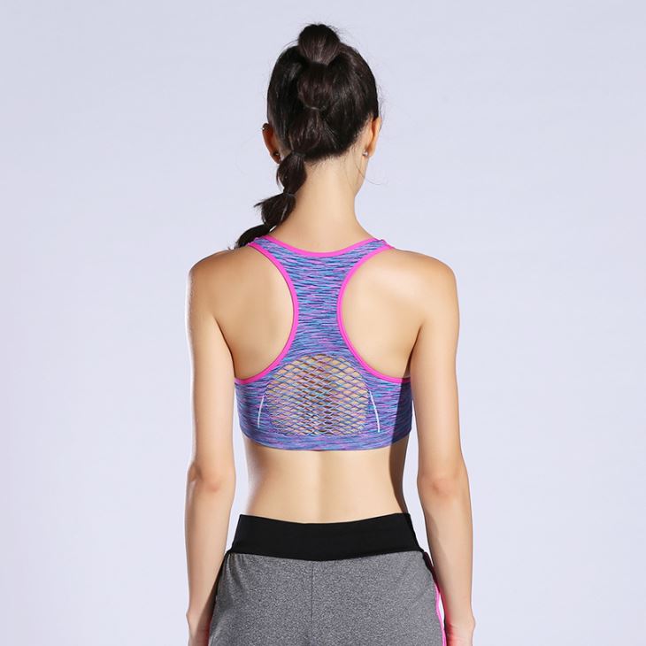 Stylish Sexy Bra Wholesale Yoga Sports Fitness Bra Set