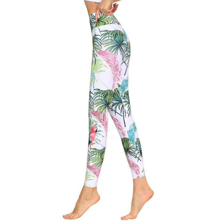 Athletic Wear Workout Leggings For Women Athletic Wear Workout Leggings For Women