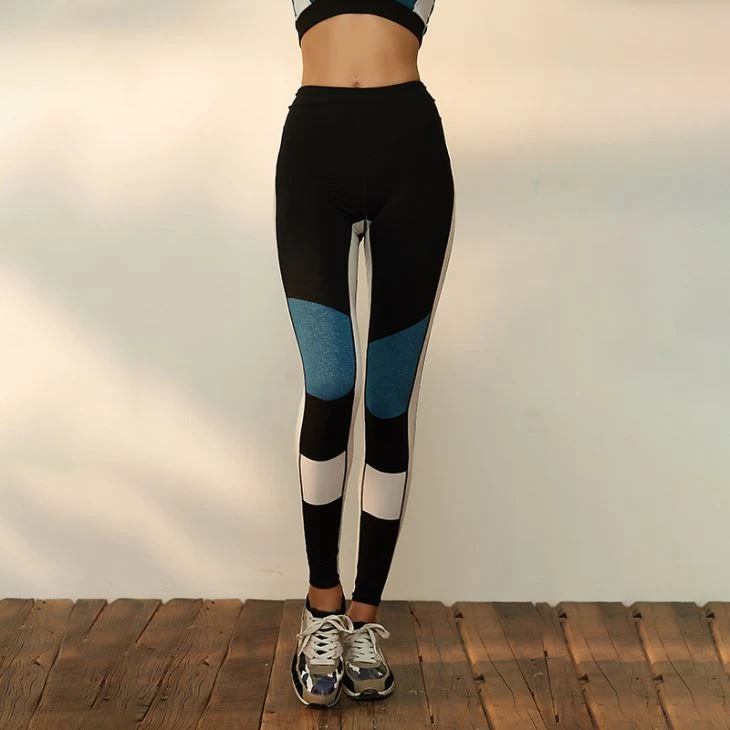 Women Nylon Spandex Fitness Leggings Women Nylon Spandex Fitness Leggings