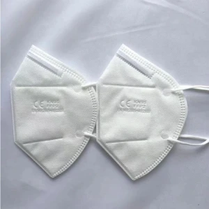 N95 Face Mask Fast Delivery