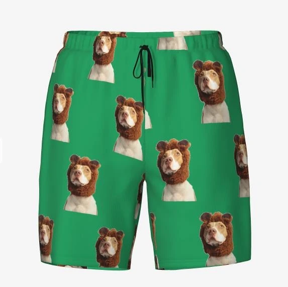 Green Mesh Shorts Mens Green Mesh Shorts Mens
