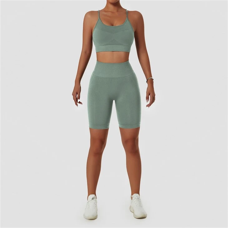 High Quality New Women Fitness Apparel Gym Workout Set High Quality New Women Fitness Apparel Gym Workout Set
