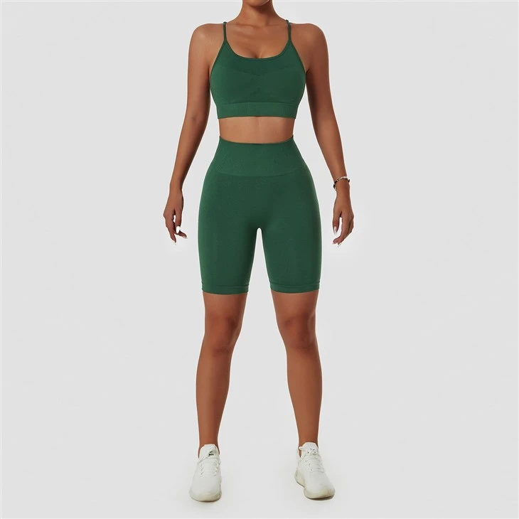 High Quality New Women Fitness Apparel Gym Workout Set High Quality New Women Fitness Apparel Gym Workout Set