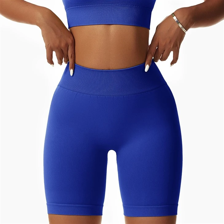 High Waisted Biker Shorts High Waisted Biker Shorts