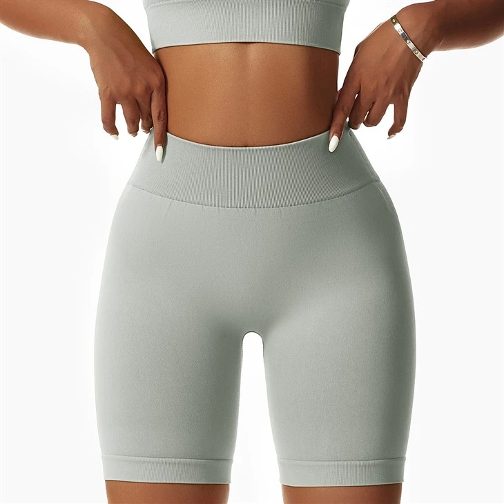 High Waisted Biker Shorts High Waisted Biker Shorts