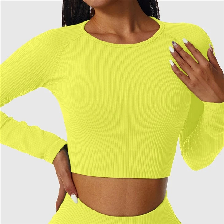 Long Sleeve Crop Top Long Sleeve Crop Top