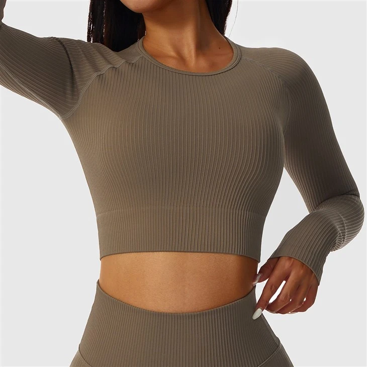 Long Sleeve Crop Top Long Sleeve Crop Top