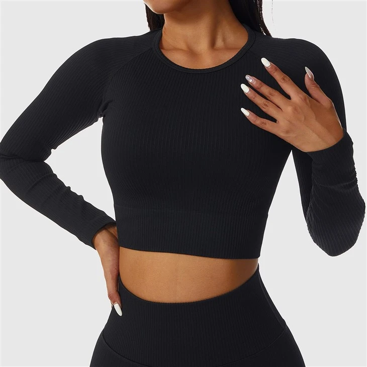 Long Sleeve Crop Top Long Sleeve Crop Top