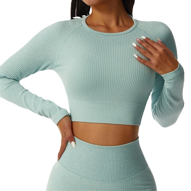 Long Sleeve Crop Top Long Sleeve Crop Top