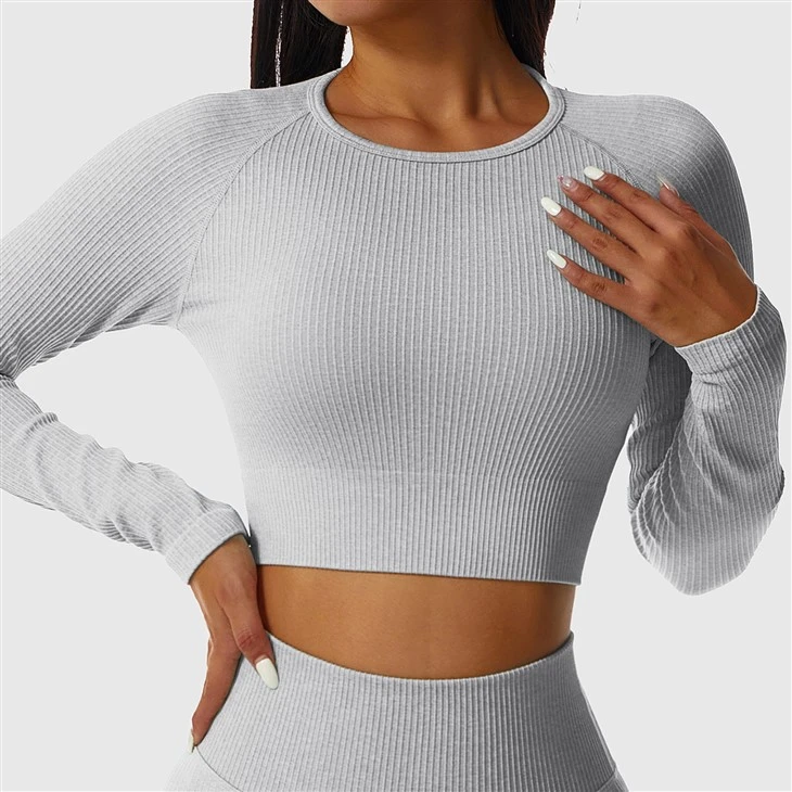 Long Sleeve Crop Top Long Sleeve Crop Top