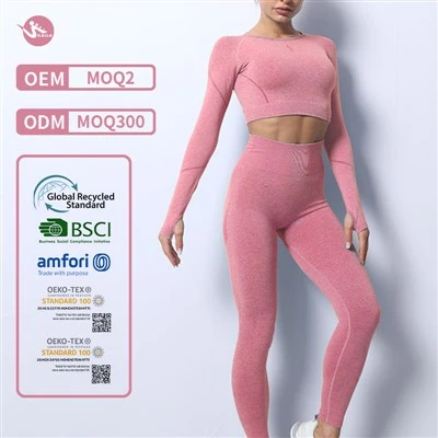 Women Two Piece Seamless Yoga Set Gymwear Workout