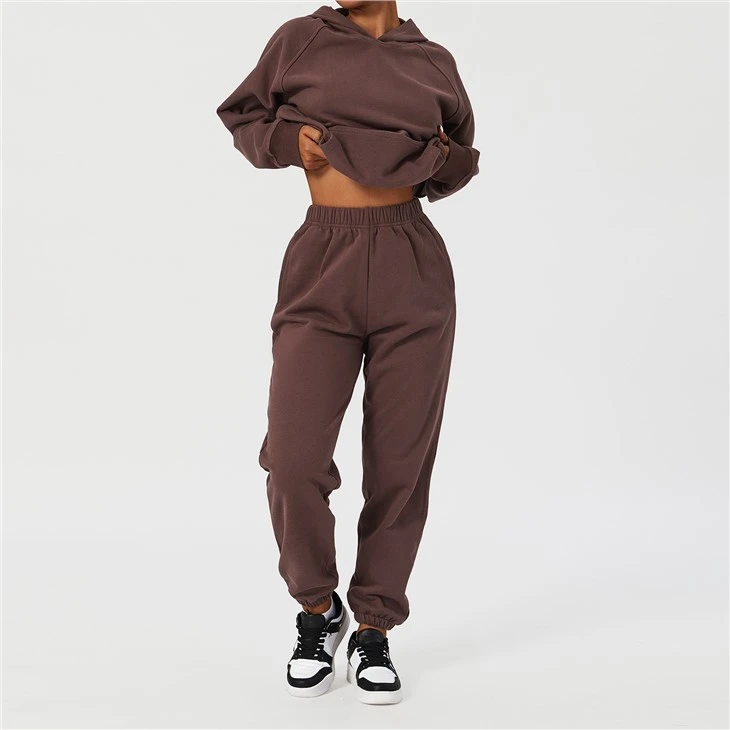 Warm Sportswear Kit Jogger Set Gym Active Wear Seamless Woman Pro Winter Active Wear For Woman Warm Sportswear Kit Jogger Set Gym Active Wear Seamless Woman Pro Winter Active Wear For Woman