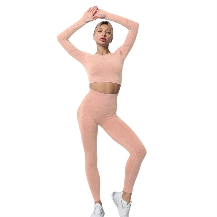Women Two Piece Seamless Yoga Set Gymwear Workout Women Two Piece Seamless Yoga Set Gymwear Workout